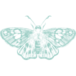 The Mercury Coalition moth in our signature powdery teal.